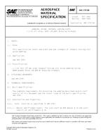 SAE AMS3797/6 Revision B SAE AMS3797/6 Revision B