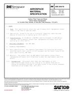SAE AMS3894/1 Revision B SAE AMS3894/1 Revision B