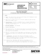 SAE AMS3894/8 Revision B SAE AMS3894/8 Revision B