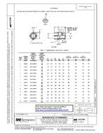 SAE AS3545 SAE AS3545