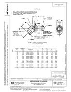 SAE AS21907 Revision C SAE AS21907 Revision C