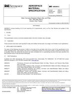 SAE AMS5901 Revision C SAE AMS5901 Revision C