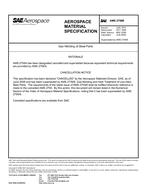 SAE AMS2756 Revision B SAE AMS2756 Revision B