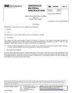 SAE AMS4903 Revision B SAE AMS4903 Revision B