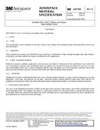 SAE AMS7904 Revision D SAE AMS7904 Revision D
