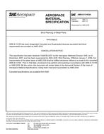 SAE AMSS13165 Revision A