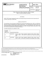 SAE AMST7081 Revision A SAE AMST7081 Revision A