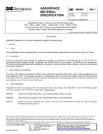 SAE AMS5843 Revision F SAE AMS5843 Revision F