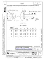 SAE AS125251 Revision B SAE AS125251 Revision B