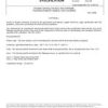 SAE AMSDTL23053/11 Revision A