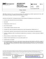 SAE AMS2400 Revision X SAE AMS2400 Revision X