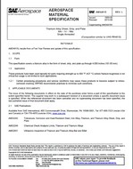 SAE AMS4915 Revision L SAE AMS4915 Revision L