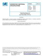 SAE AMS3843 Revision D SAE AMS3843 Revision D