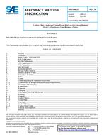 SAE AMS2980/3 Revision B SAE AMS2980/3 Revision B