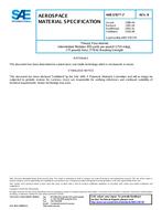 SAE AMS3787/7 Revision B SAE AMS3787/7 Revision B