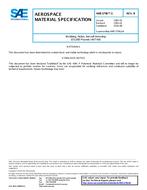 SAE AMS3796/1 Revision B SAE AMS3796/1 Revision B