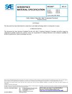 SAE AMS3800 Revision B SAE AMS3800 Revision B