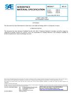 SAE AMS3841 Revision B SAE AMS3841 Revision B