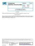 SAE AMS3870 Revision E SAE AMS3870 Revision E