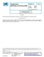 SAE AMS3904/12 Revision B SAE AMS3904/12 Revision B