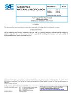 SAE AMS3904/9 Revision B SAE AMS3904/9 Revision B