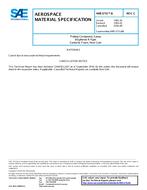 SAE AMS3731/6 Revision C SAE AMS3731/6 Revision C