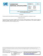 SAE AMS3801/4 Revision C SAE AMS3801/4 Revision C