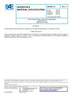 SAE AMS3867/2 Revision C SAE AMS3867/2 Revision C
