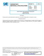 SAE AMS3867/4 Revision B SAE AMS3867/4 Revision B