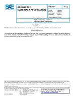 SAE AMS3899 Revision C SAE AMS3899 Revision C