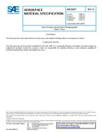 SAE AMS3828 Revision D SAE AMS3828 Revision D