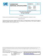 SAE AMS3903/6 Revision B SAE AMS3903/6 Revision B
