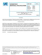 SAE AMS7728 Revision J SAE AMS7728 Revision J