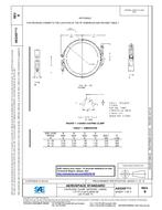 SAE AS5355/1 Revision B SAE AS5355/1 Revision B