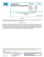 SAE AMS5395 Revision D SAE AMS5395 Revision D