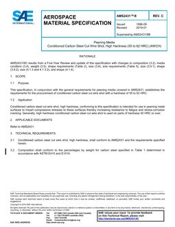 SAE AMS2431/8 Revision C SAE AMS2431/8 Revision C