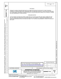 SAE AS85485/10 Revision B SAE AS85485/10 Revision B