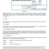 SAE AMS4994 Revision B
