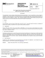 SAE AMS3901/13B