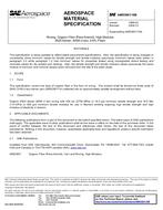 SAE AMS3901/16B
