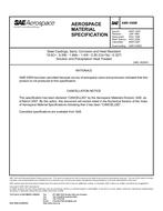 SAE AMS5369E