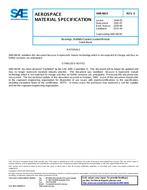 SAE AMS4824E