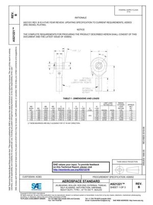 SAE AS21221B