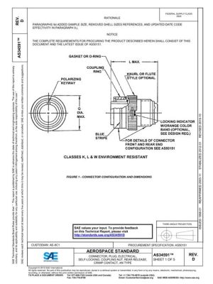 SAE AS34591D