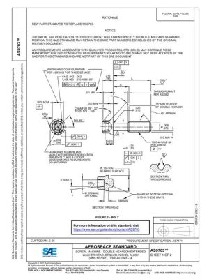 SAE AS9703